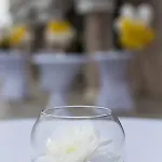 Siena Palace 4*