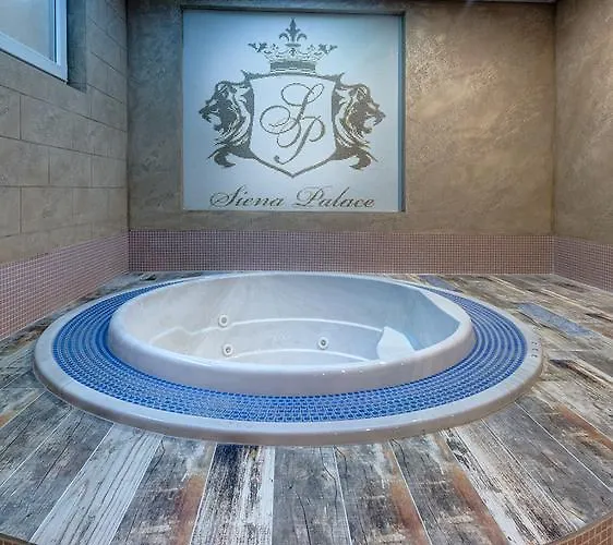 Siena Palace Hotell 4*