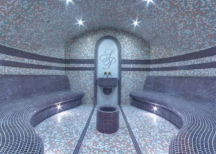 Siena Palace Hotel 4*