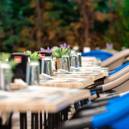 Siena Palace Hotell 4*