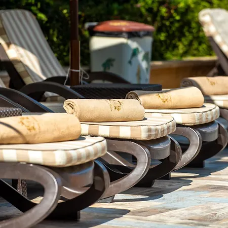 Ξενοδοχείο Siena Palace 4*