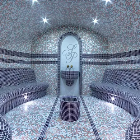 Siena Palace Хотел 4*
