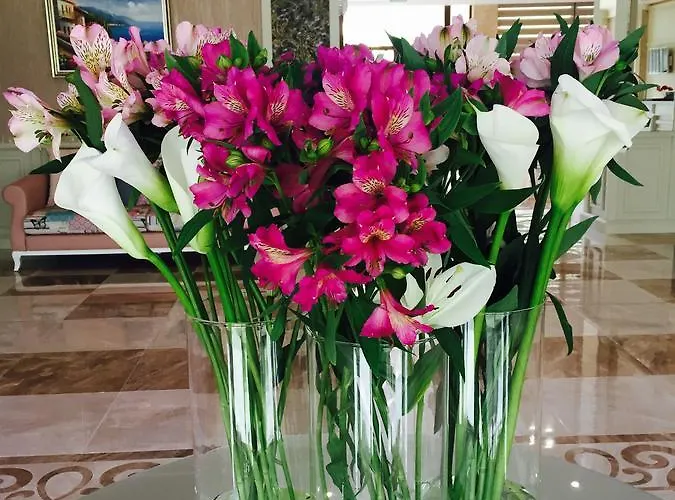 Siena Palace 프리모르스코